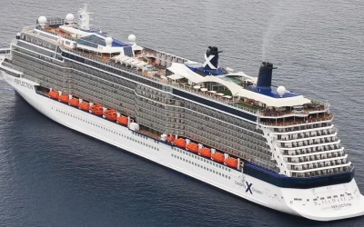 Celebrity Reflection