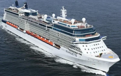 Celebrity Silhouette